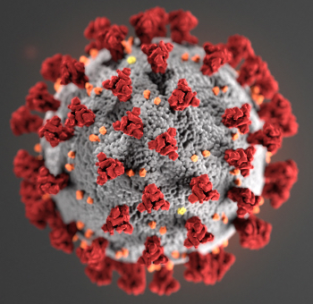 The Latest on COVID-19/Coronavirus